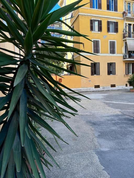 La Casetta Trastevere 로마 외부 사진